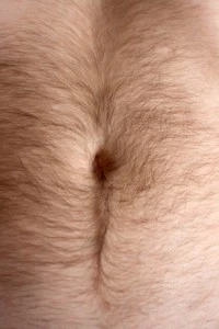 bellyhair bellyhair