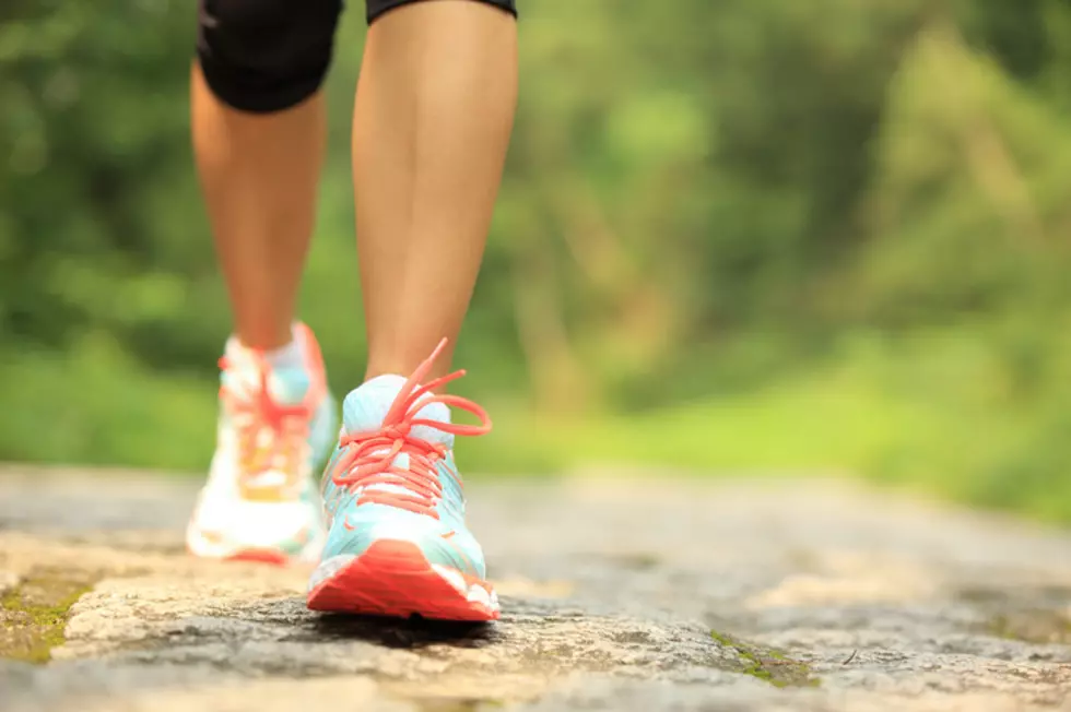 Walk For A Cause: Matthews Auto’s 6th Annual Walk-A-Thon In Vestal And Norwich New York